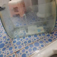 آکواریوم