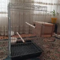 قفس بزرگ طوطی سانان