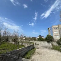 ۳۴۱ مترمربع زمین با چشم انداز جنگل دالخانی