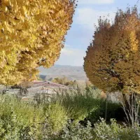 اجاره ویلا در چادگان بدون واسطه