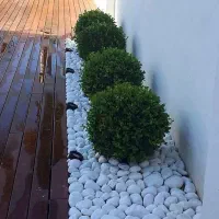 خدمات باغبانی، هرس، تعویض گلدان