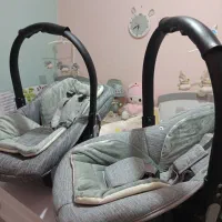 *کریر نوزاد نقره ای *