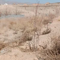 زمین فاز ۱۰ پردیس