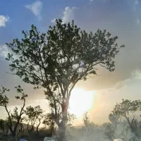 باغ-اجاره-میکنم