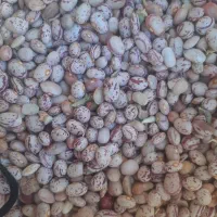 لوبیا چیتی|خوردنی و آشامیدنی|فارسان, |دیوار