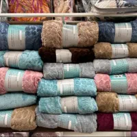 پتومسافرتی