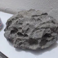 فروش سنگ فسیلی