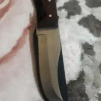 دو عدد کارد شکاری آمریکایی|کوهنوردی و کمپینگ|اهواز, طالقانی|دیوار