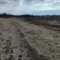 زمین اشترینان جهت ویلا باغ|فروش زمین و ملک کلنگی|اشترینان, |دیوار