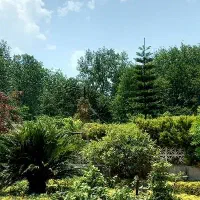 زمین-آپارتمان-سازی-600-متری-در-خیابان-آرا