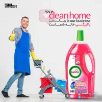 پاک کننده (چهار کاره) کاشی و سرامیک LYNX|مواد شوینده و دستمال کاغذی|تهران, شهرک طالقانی|دیوار