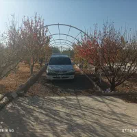 نیازمند یک کارگر باغ پاره وقت بصورت توافقی