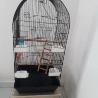 قفس بزرگ کاسکویی