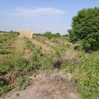 باغ انگور و بادام|فروش زمین و ملک کلنگی|خرمدشت, |دیوار
