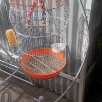 فروش قفس بهمراه پایه