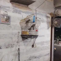 سهره اهوازی