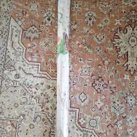 پشه بند چتری نوزاد