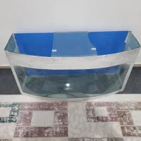 اکواریوم|ماهی|میانه, |دیوار