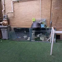 شیشه آکواریوم ۲عدد