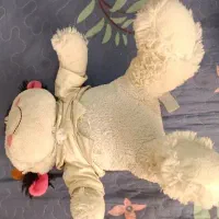 عروسک گتو بامزه