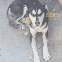 قیمت ۴ ، تخفیف پای معامله