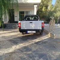 پراید وانت ۱۴۰۳|خودرو سواری و وانت|هشتگرد, تهران دشت|دیوار