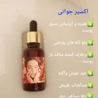 کفش|کیف، کفش، کمربند|دوگنبدان, |دیوار