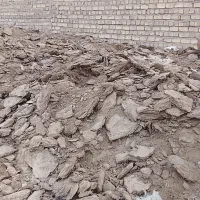 کود درجه ۱|خدمات باغبانی و درختکاری|رفسنجان, |دیوار