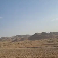 ۰۹۱۹۱۱۳۶۵۱۳