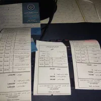 واگذاری گربه بی پناه|گربه|فردیس, طالقانی|دیوار