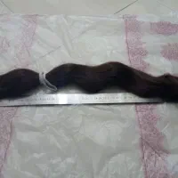 موی طبیعی بچه پر حجم و سنگین|آرایشی، بهداشتی، درمانی|بندرعباس, |دیوار