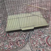 قفس پرنده نو