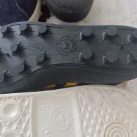 کفش نو|کیف، کفش، کمربند|کرمان, |دیوار