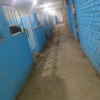 باشگاه اسب سواری