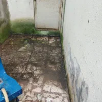 کفسابی کف ساب سنگساب سنگسابی کفساب کف سابی سنگ ساب|خدمات نظافت|کرج, شاهینویلا|دیوار