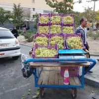 گاری،چرخ دستی، چرخ توافی