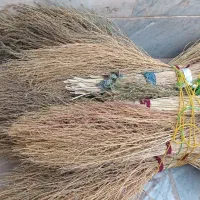 حراج جاروی محلی