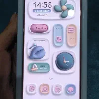 شیامی نوت ۱۳