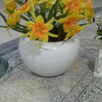 گل گل فروش فوری|گل مصنوعی|گرگان, |دیوار