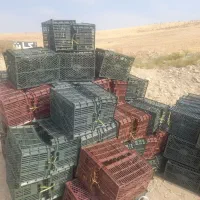 فروش سبد ۳ ردیفه درجه ۱