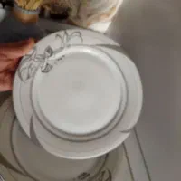 برنج خوری چینی با طرح نقره ای رنگ|ظروف سرو و پذیرایی|شیروان (خراسان), |دیوار