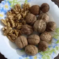 گردو درجه1