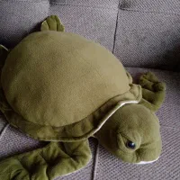 کوسن یا کنار شومینه