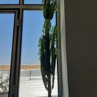 فروش گل