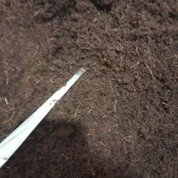 خاک بستر حلزون|خزنده|تهران, بلوار کشاورز|دیوار