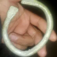 پابند قدیمی