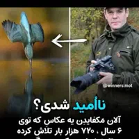 آموزش رانندگی تضمینی تخصصی کوچه ها ترافیک آزمون