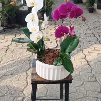 استخدام فروشنده و یا کارگر