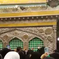 مشهد مقدس بمدیریت صفامنش/ نقد و اقساط/