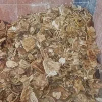نان خشک تمیز وبدون کپک فروشی